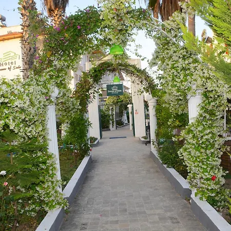 Hotel Dream Of 3*