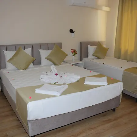 Hotel Dream Of 3*