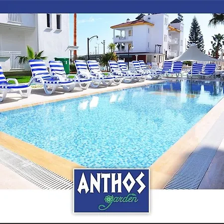 Hotel Dream Of 3*
